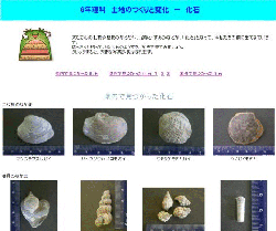 化石の写真もいっぱい